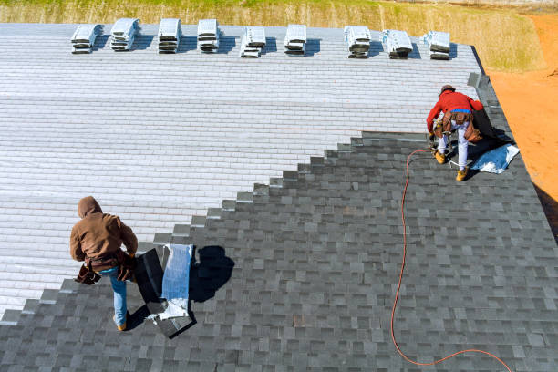 Best Flat Roof Repair Services  in Burr Ridge, IL